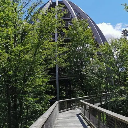 Ferienland Sonnenwald 50