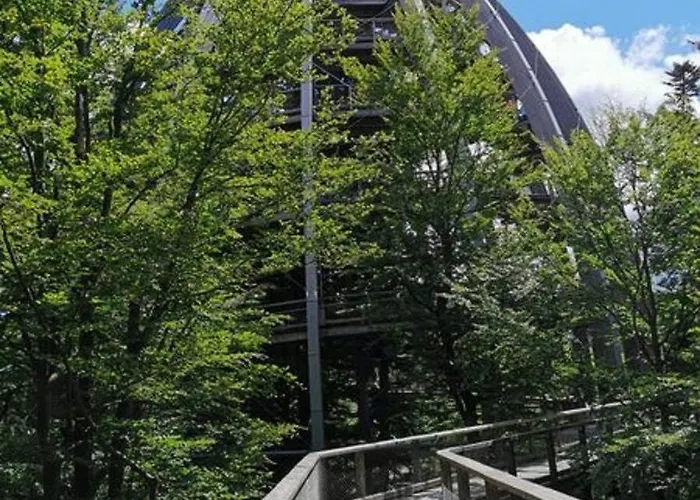 Ferienland Sonnenwald 50