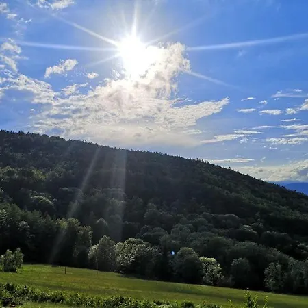 Ferienland Sonnenwald 50 *