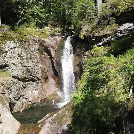 Ferienland Sonnenwald 50 *