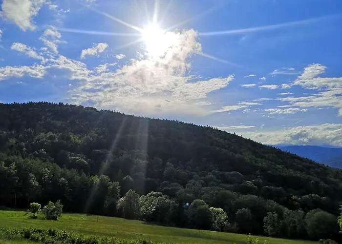 Ferienland Sonnenwald 50 *